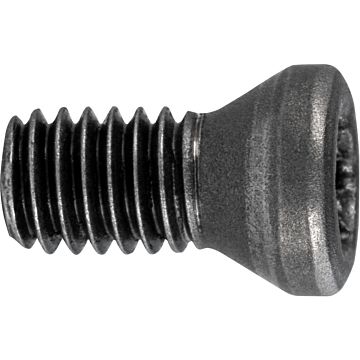 Vis de serrage Torx Plus Vis de serrage Torx Plus